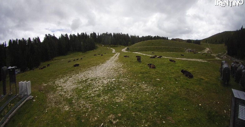Webcam Pinzolo - Pinzolo -Grual e Clump 