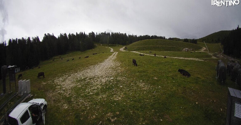 Webcam Pinzolo - Pinzolo -Grual e Clump 