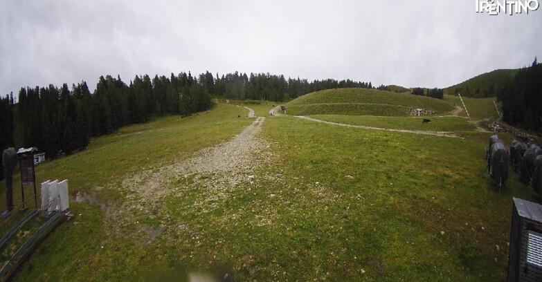 Webcam Pinzolo - Pinzolo -Grual e Clump 