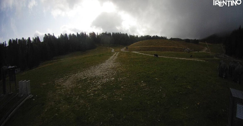Webcam Pinzolo - Pinzolo -Grual e Clump 
