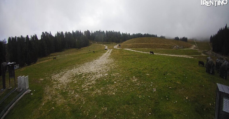 Webcam Pinzolo - Pinzolo -Grual e Clump 