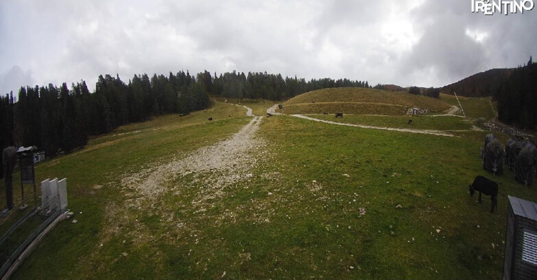 Webcam Pinzolo - Pinzolo -Grual e Clump 