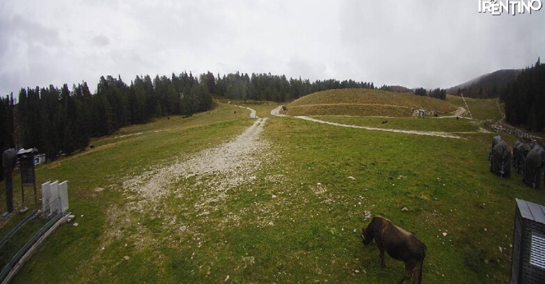 Webcam Pinzolo - Pinzolo -Grual e Clump 
