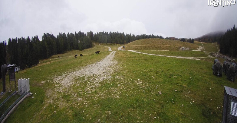 Webcam Pinzolo - Pinzolo -Grual e Clump 