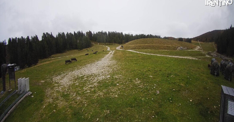 Webcam Pinzolo - Pinzolo -Grual e Clump 