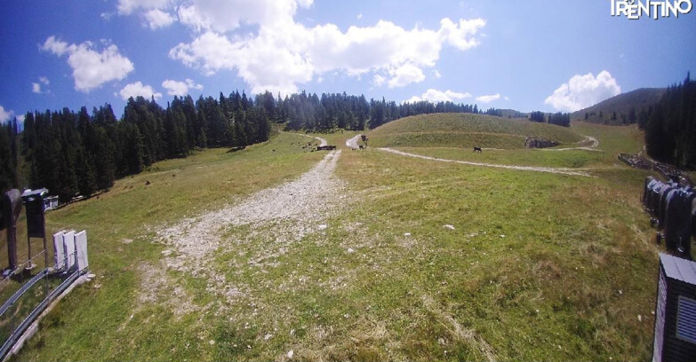 Webcam Pinzolo - Pinzolo -Grual e Clump 