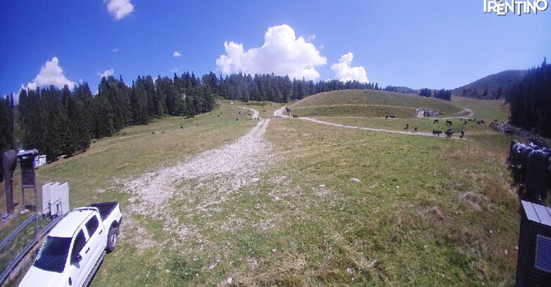 Webcam Pinzolo - Pinzolo -Grual e Clump 