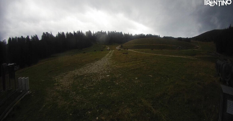 Webcam Pinzolo - Pinzolo -Grual e Clump 