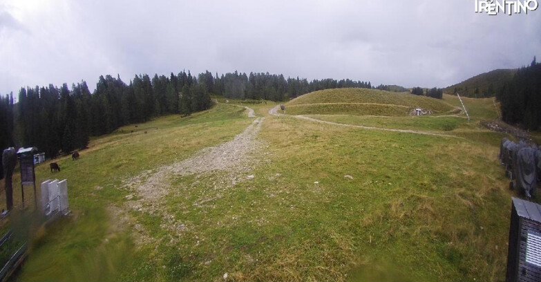 Webcam Pinzolo - Pinzolo -Grual e Clump 