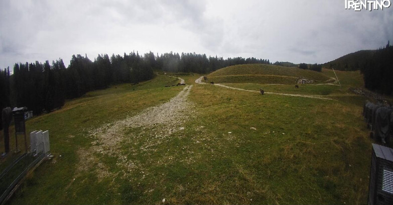 Webcam Pinzolo - Pinzolo -Grual e Clump 