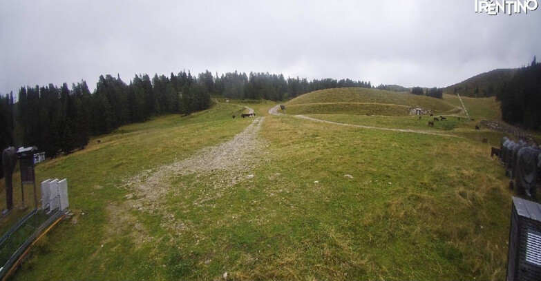 Webcam Pinzolo - Pinzolo -Grual e Clump 