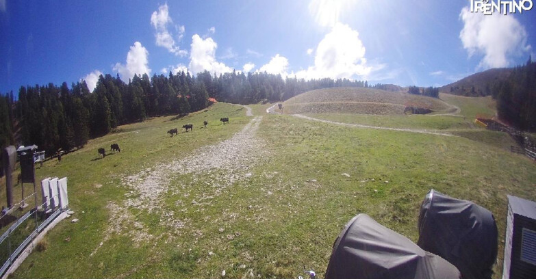 Webcam Pinzolo - Pinzolo -Grual e Clump 