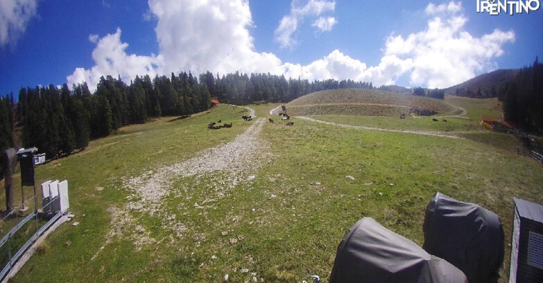 Webcam Pinzolo - Pinzolo -Grual e Clump 