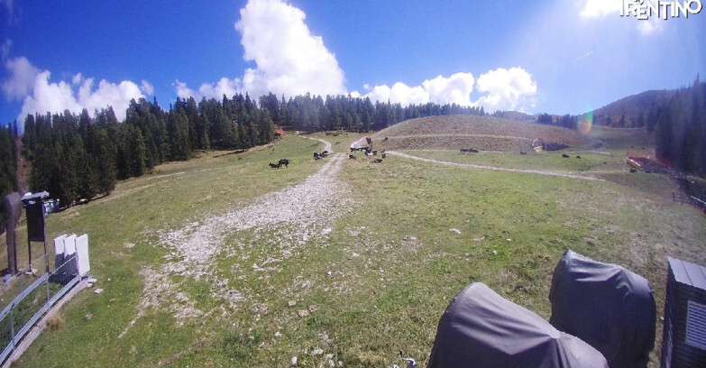 Webcam Pinzolo - Pinzolo -Grual e Clump 