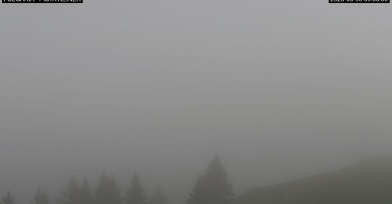 Webcam Фольгария  - Pista Reiner